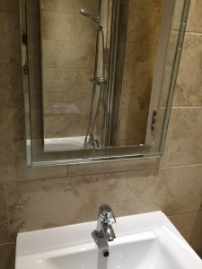 Sink and Shower  